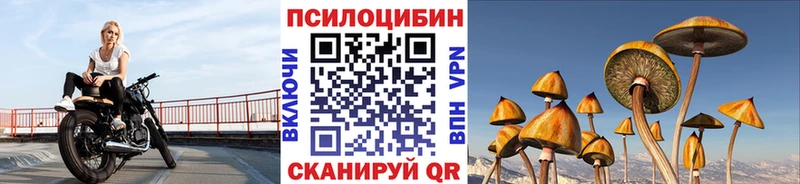 где можно купить наркотик Переславль-Залесский kraken ссылки даркнет формула Псилоцибиновые грибы Psilocybe